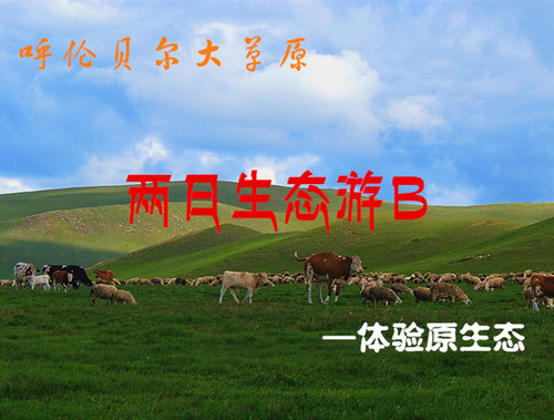 文章附圖